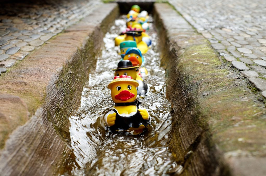 bath ducks swimming through canal